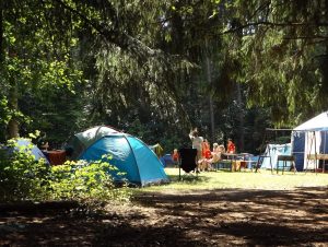camping-holiday-in-cornwall